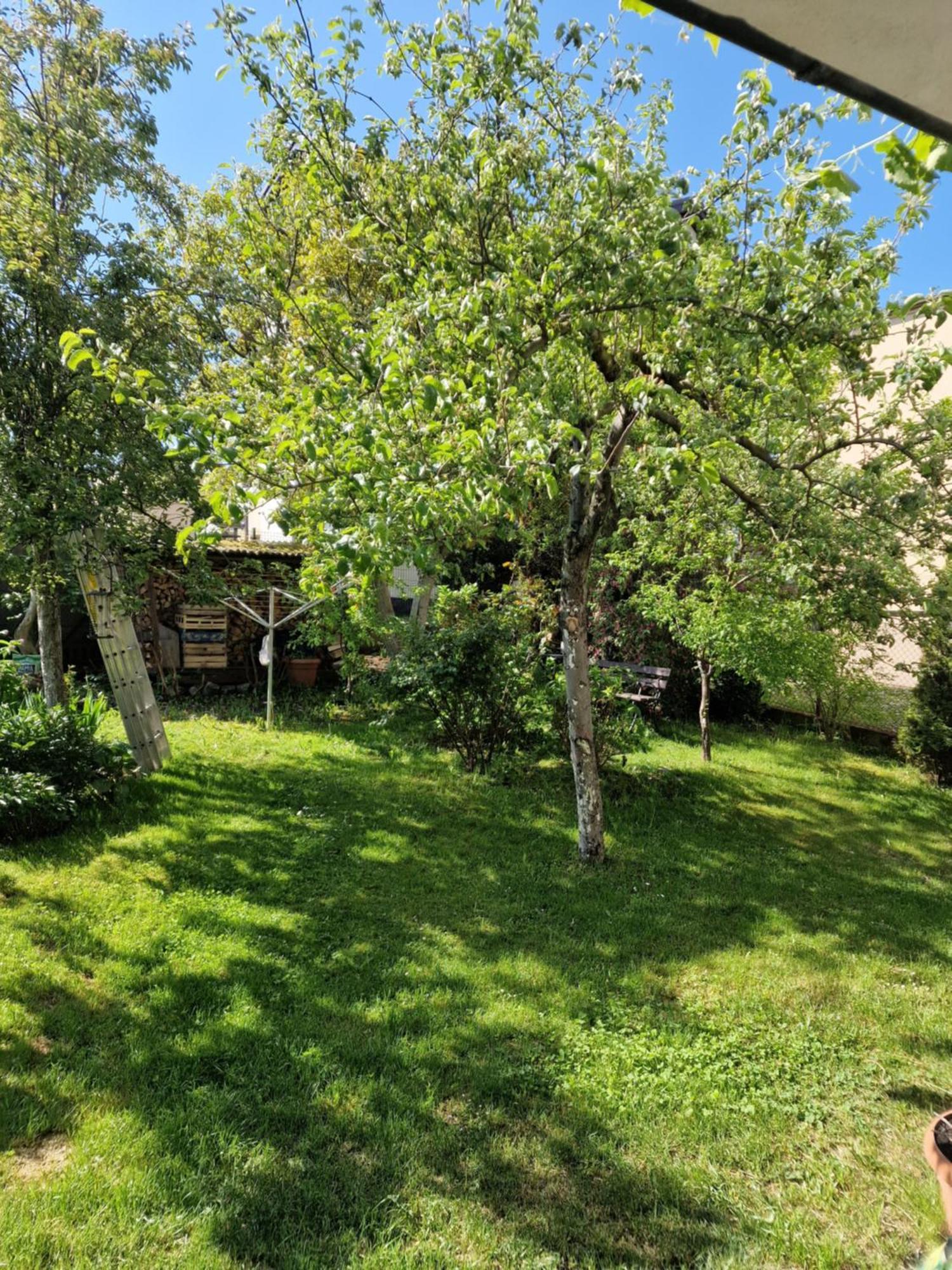 Pokoje Goscinne Nawigator Władysławowo Exterior foto